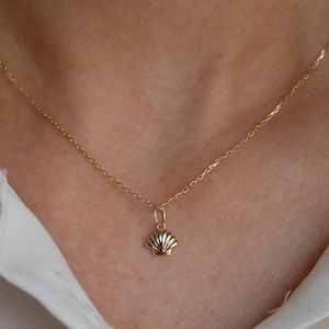 May include: A gold chain necklace with a small seashell pendant.