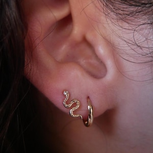 May include: A pair of gold earrings, one is a snake design and the other is a hoop.