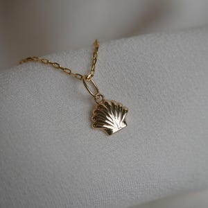 May include: A gold chain necklace with a delicate seashell pendant. The seashell is detailed with ridges and a smooth finish.