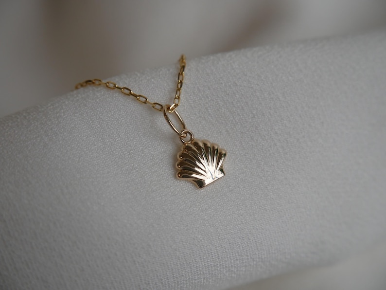 May include: A gold chain necklace with a delicate seashell pendant. The seashell is detailed with ridges and a smooth finish.