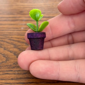 One of a Kind! 1:12 Miniature dollhouse plant