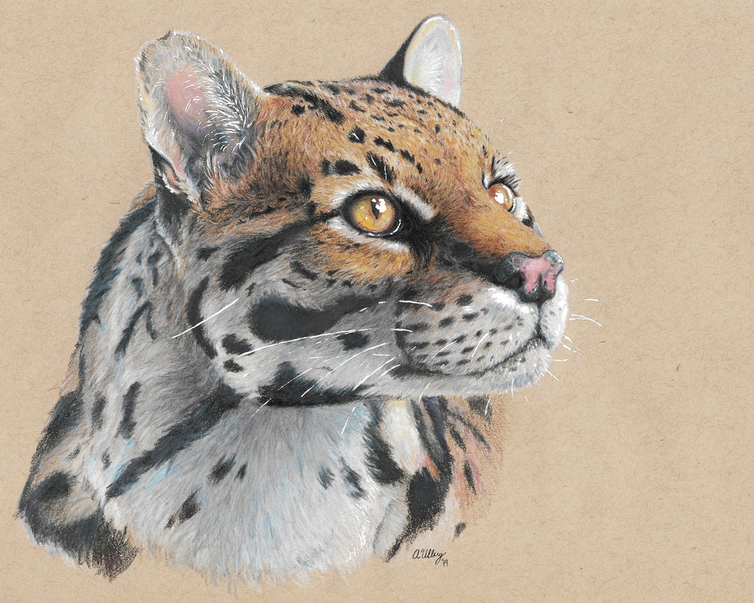 Ocelot Print - Etsy