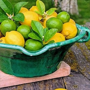 May include: A green ceramic bowl filled with fresh lemons and limes, accented with green leaves and small white flowers. One lemon rests on the wooden surface. The bowl sits on a wooden surface.