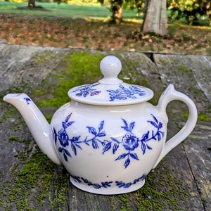 Peut inclure: Une petite théière blanche avec un motif floral bleu. La théière a un couvercle et un bec verseur. Elle est posée sur une surface en bois recouverte de mousse.