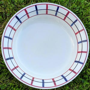 Może przedstawiać: Biały ceramiczny talerz z czerwono-niebiesko-białym paskowanym obrzeżem. Talerz leży na zielonej trawie.