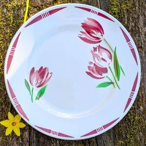 Peut inclure: Assiette en céramique blanche avec un bord rouge et un motif floral de tulipes roses. L'assiette est posée sur une surface en bois avec de la mousse verte.