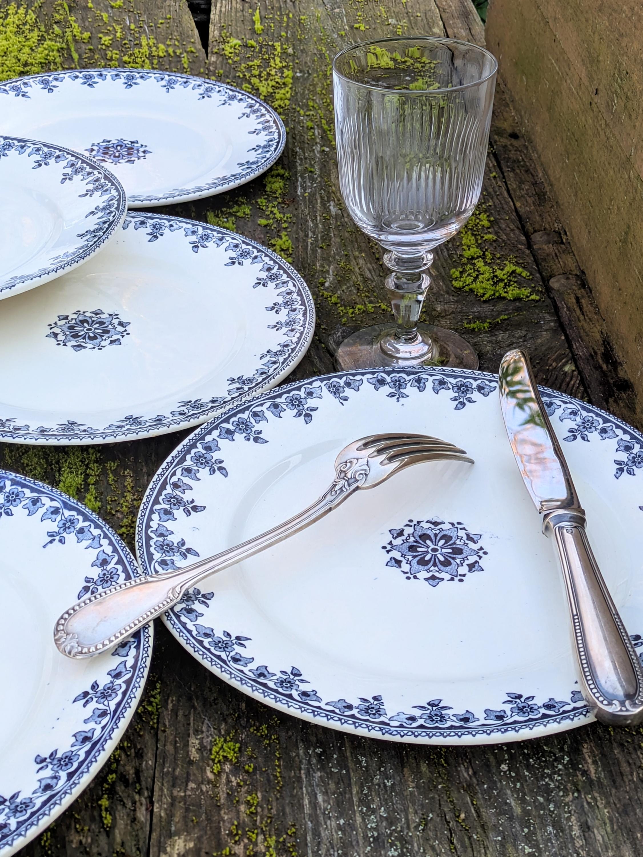 Magnifiques Assiettes En Faïence Française « Terre De Fer » Avec Décor Doiseaux Lot De 15