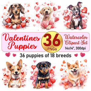 36 schattige puppy's met hartjes, aquarel valentijn clipartbundel, 18 rassen, png-doe-het-zelfcadeau, XOXO-set voor sublimatie en ambachten, commercieel gebruik