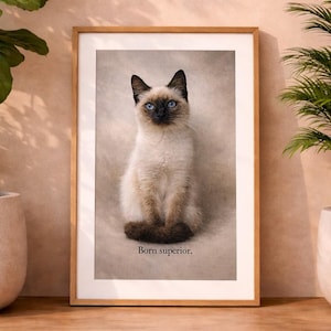 Peut inclure: Tirage encadré d'un chat siamois aux yeux bleus et aux extrémités marron foncé. Le chat est assis, avec le texte "Born superior." en bas. Le cadre est de couleur marron clair.