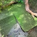 FLOATING Basking Zone for Aquatic Turtle - CUSTOM DESIGN - Etsy - Aquatic Turtle Basking Area With Waterfall And Feature