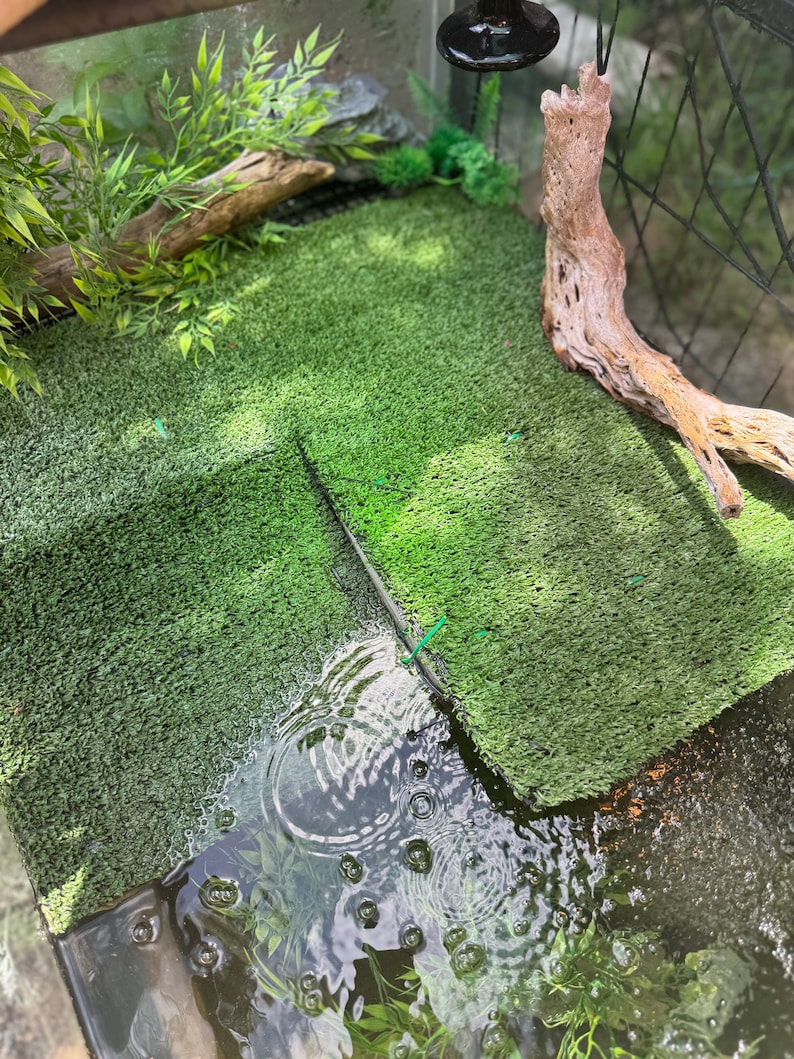 Picture of FLOATING Basking Zone for Aquatic Turtle - CUSTOM DESIGN - Etsy