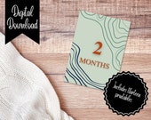 Earthy Geode Baby Monthly Milestone Cards | First Year Cards | Milestone Markers | Digital Download Milestone Card Set | Birth Announcement