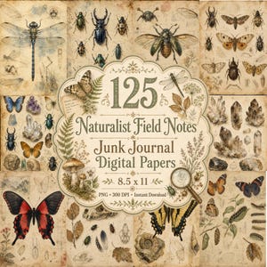 May include: A collection of 125 Naturalist Field Notes Junk Journal Digital Papers featuring vintage-style illustrations of insects, butterflies, mushrooms, crystals, and fossils on aged paper backgrounds with the text 125 Naturalist Field Notes Junk Journal Digital Papers 8.5 x 11 PNG 300 DPI Instant Download.