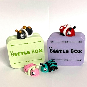 May include: Two square boxes, one light green and one lavender, each with a beetle figurine on top. The boxes have the text "Beetle Box" in green and black, respectively. Additional beetle figurines are placed in front of the boxes. The beetles are in various colors.