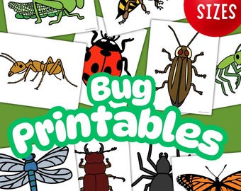 Printable Insect Templates: Bug Cutouts for Crafts, Science Projects (PDF Download)