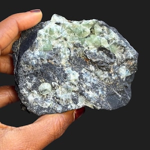 Puede incluir: Una roca gris oscura con grupos de formaciones en forma de estrella de color verde claro. La roca se sostiene en una mano de piel oscura, sobre un fondo negro. Las formaciones tienen un patrón radial.