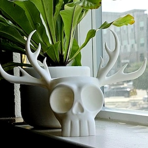 May include: A white ceramic skull-shaped planter with stylized antlers. The planter has large eye sockets and a detailed skull design. A green plant is visible in the background, adding a natural contrast to the white planter.