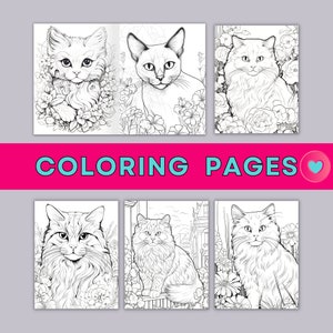 Cat Coloring Book Printable Pdf File Adorable Cats Coloring Pages for Kids Printable Adult ...