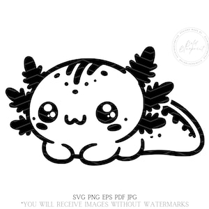 Axolotl, Axolotl silhouet, Axolotl Vector, Axolotl Cricut, Axolotl, Axolotl Svg, salamander Svg, schattige Axolotl, salamander png, download
