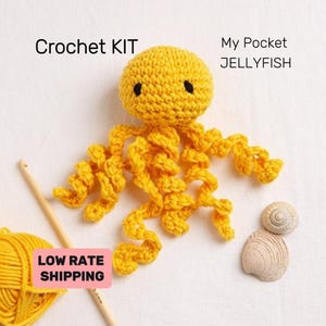 May include: A crochet kit to make a yellow jellyfish toy. The kit includes yarn, a crochet hook, and instructions. The finished toy is about 6 inches tall.  My Pocket JELLYFISH.