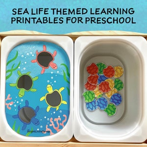 May include: A set of printable sea life themed learning activities for preschool. The image shows two white trays with a blue background with sea turtles and a tray with colorful sea life shapes.