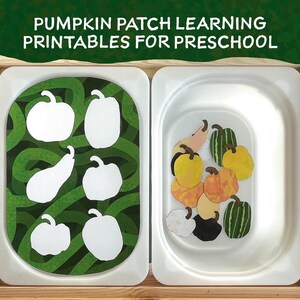 May include: A printable learning activity for preschoolers featuring a pumpkin patch theme. The printable includes two trays, one with a green background and white pumpkin outlines, and the other with colorful pumpkin cutouts.