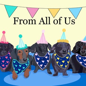 Cartão de aniversário de Dachshund: 5 Doxies com chapéus de festa