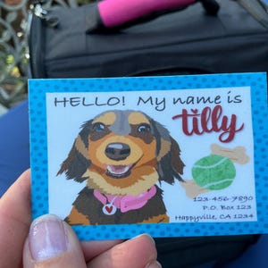 Tarjeta de identificación personalizada para el transportín de mascotas