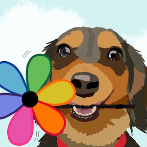 Teckelkaart: regenboogbloemvuurrad