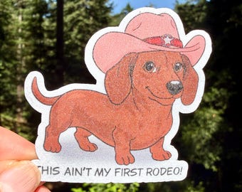 Dachshund Sticker: This Ain’t My First Rodeo