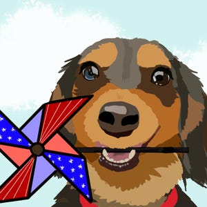 Tarjeta de perro salchicha: Molinillo rojo, blanco y azul