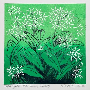 Wild garlic flowers spring green Lino cut print