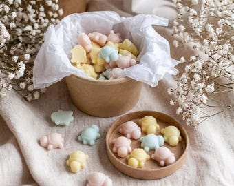 Confezione regalo di cialde di cera profumata Turtle Wax Melts da 120 g | Cialde di cera profumata fatte a mano | Cialde di cera pastello | Simpatiche tartellette di cera | Regalo per profumare la casa | Cialde di cera per scaldacera