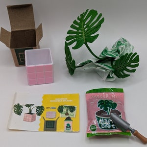 Miniverse Make It Mini Lifestyle Home Series 1, Wave 1 - MONSTERA - Etsy