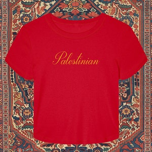 Palestine Baby Tee, Y2k Shirt, 90s Baby Tee, Palestine Country Top, Palestinian Tee, Palestine Shirt