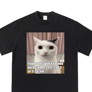 Your balls will explode cat meme shirt, funny cat meme tshirt, oddly specific meme tee, weird cat meme shirt, unhinged, cursed weirdcore tee