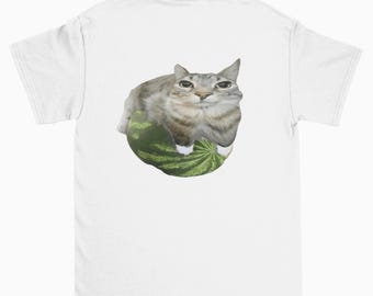 May include: A white t-shirt with a gray tabby cat sitting on a green watermelon. The cat is looking at the camera.