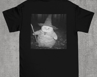 Fat Wizard Cat Shirt, Picture of fat cat wizard in the woods, funny cat meme shirt, tiktok meme shirt, Funny cat graphic tee, stupid shirts