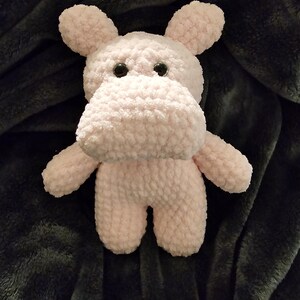 hippo