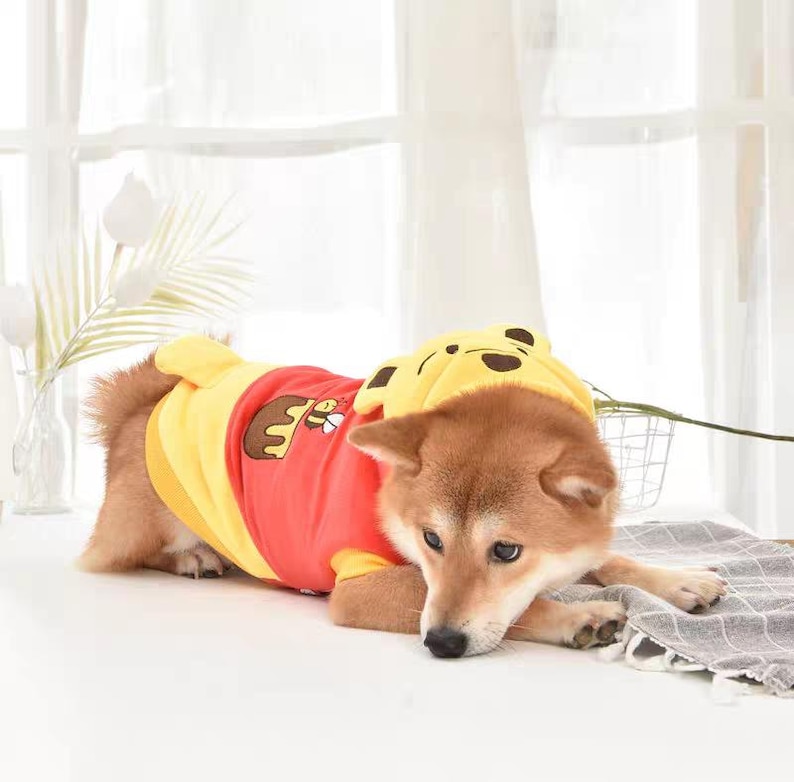 May include: A small dog wearing a yellow and red hooded costume with a cartoon bear face on the hood. The costume has a honey pot and bee design on the front.