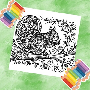 May include: A black and white line drawing of a squirrel sitting on a branch with intricate details and swirls. The squirrel is holding a nut in its paws. The background is a simple white surface.