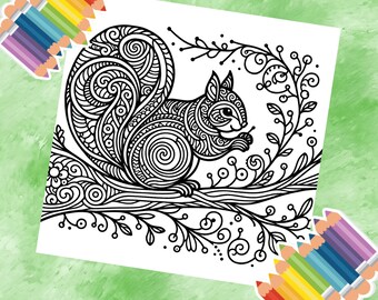 Forêts fantaisistes : aventures zen enchevêtrement d'écureuils