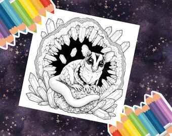 Planeurs géode : planeurs en sucre de la série à colorier Crystal Havens