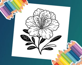 Garden Serenity : un livre de coloriage pour adultes rempli de merveilles florales