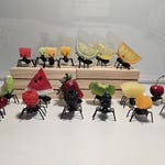 Summer Toys