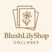 BlushLilyShop store logo