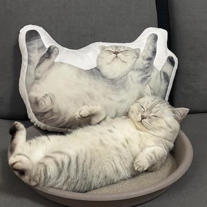 Custom Shaped Cat Dog Pillow 3D Pet Pillow Double-sided Print Pet Portrait Pillow Pet Memorial Gift Back to school Gift for Pet Lover