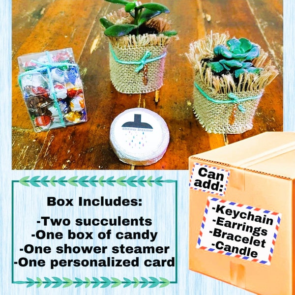 Teacher succulents gift box, Teacher succulents care package, Teacher thank you gift, Teacher appreciation week gift, End of year gift