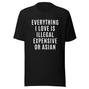 Everything I Love Is Illegal Expensive Or Asian Shirt, Funny Quote Graphic Tee, Sarcastic Streetwear T-Shirt, Edgy Rave Festival Crewneck