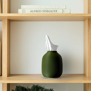 May include: A green ceramic tissue box holder with a white tissue dispenser on a wooden shelf. The shelf is part of a wooden bookcase with books on the top shelf.